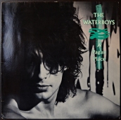 The Waterboys - A Pagan Place  206 353-620